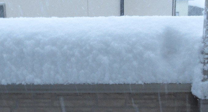 入間市も大雪!雪かきは無駄な抵抗(泣)