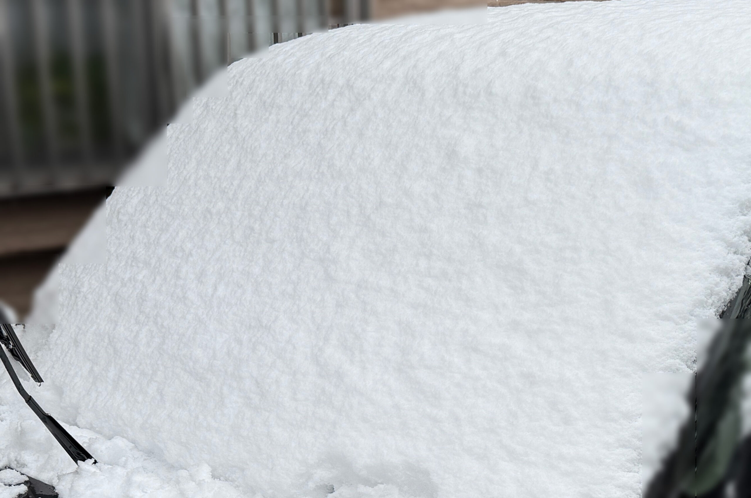 関東平野部も雪景色